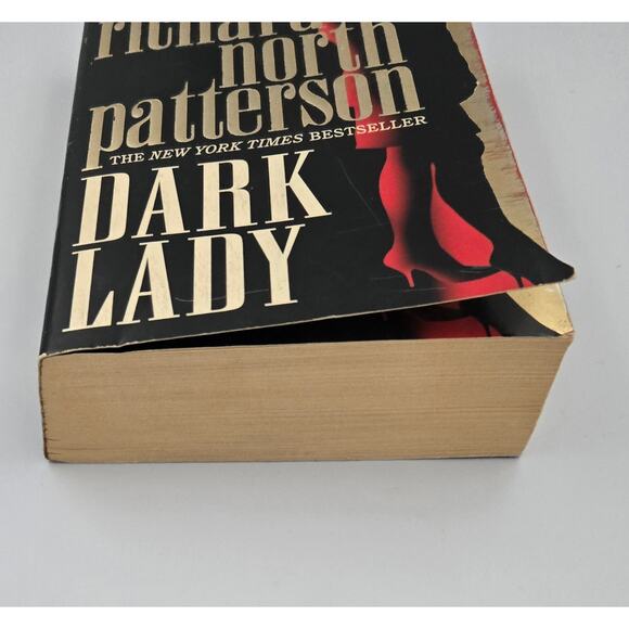 Dark Lady by Richard North Patterson Thriller Mystery Suspense - Picture 4 of 9